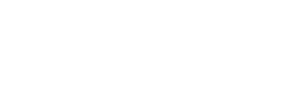 BV White Logo Medium